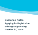 Social Care Worker Guidance Notes S91 (1) thumbnail